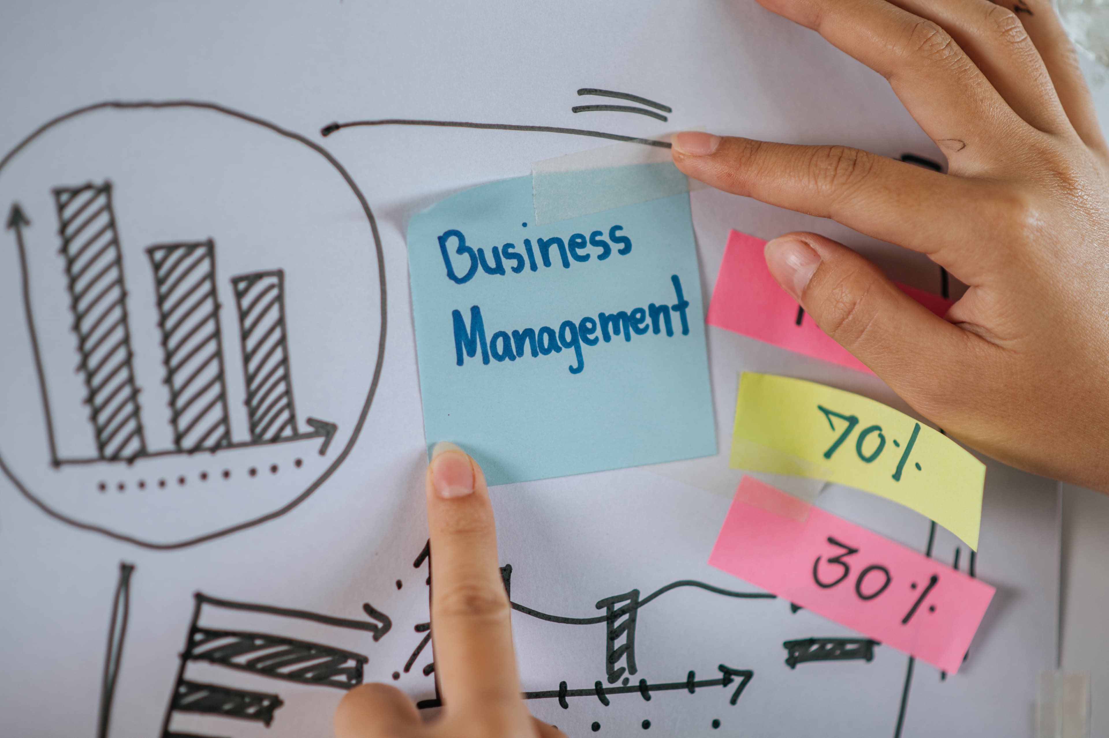 Business and Management